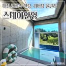 스테이안영 이미지