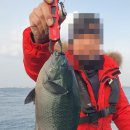 부영호 | 제주배낚시 체험해보기 좋은 부영호 형제섬2시간체험배낚시