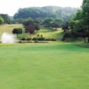 포텐골프클럽 이미지