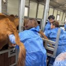 경기도축산진흥센터 이미지