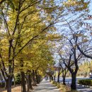 창원천 방면 이미지