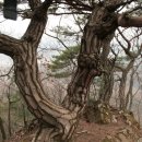 사기막골(2) 이미지