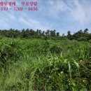 하의면옥도보건진료소 | 전남 신안군 하의면 주택경매 물건, 경매낙찰가 상담 == 사건번호 [2015타경7931], 경락자금