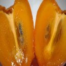 감탄스토어 이미지