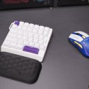 한손팜