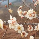 차실마을회관 이미지