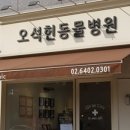 오석헌동물병원 이미지