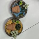 영생고등학교 이미지