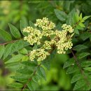 산초식당 이미지