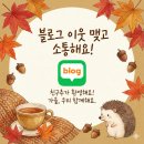 두뇌를 깨우는 보드게임A | 🚀 벌레 잡는 보드게임! 라쿠카라차 게임방법 완벽 해설 &amp; 숨겨진 교육 효과 (솔직 후기)