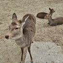 DG481펜션2 이미지