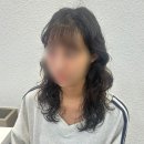 동성로 미용실 레이브헤어 대구 히피펌 구름펌 후기