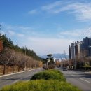 반도이용소 이미지