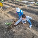 텃밭 | 용산 가족공원 텃밭 분양 후기｜초보 농부의 1년 농사 기록