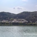 고복자연공원 수변 길 이미지