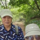 남산 숲길 몇장 올립니다. 이미지