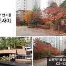 광성부동산공인중개사사무소 이미지