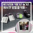 체셔캣방탈출카페