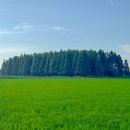 지에스칼텍스(주) 이마트군산점 | 커플여행 코스 추천 [인생샷 포토스팟 4곳 추천시기 꿀팁 관광지 주차정보, 군산맛집리스트 4곳 솔직후기]