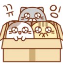 주산연구소