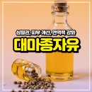 씨드샐러드(SEED SALAD) | 대마종자유 효능 먹는법! 오메가3 비교