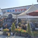 수라한식뷔페 이미지