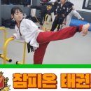 참피온태권도장 이미지