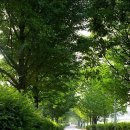 대학목장 이미지