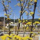 산닭집 이미지