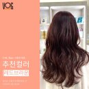 장현수지 | 레드브라운 염색 후기 - 시흥 미용실 염색 잘하는 곳