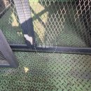 리프트짐 이미지