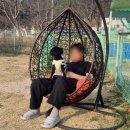 강아지천국 이미지