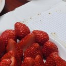 양학농장 이미지