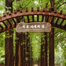 서울숲길 이미지