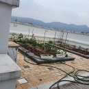 상봉2동  주민자치위원회 이미지