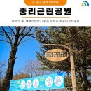 중리동로 이미지