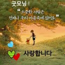 09월20일(목) 신문을 통해 알게된 이야기들 이미지