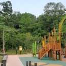 수락산 순환산책로 이미지