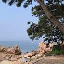벌천포해수욕장 Daum카페