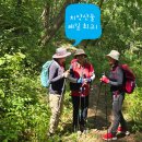 치악산둘레길 5코스 서마니강변길 | [ 치악산둘레길 ] 숲과 강변을 잇는 명품 길! &#39;치악산둘레길 5코스 서마니강변길&#39; 걷기