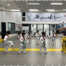 선도 키즈 태권도장 이미지