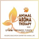 더힐테라피센터 이미지