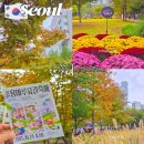 수도녹지사업소 | 서울 공덕 경의선숲길 산책 가을 단풍 구경 용마루숲길 축제 후기