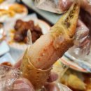 속초대게여왕 이미지