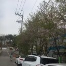 이덕아이앤씨 - 속초시 중앙로 20 | 혼수구입1_알레르망 창고개방 방문 후기
