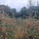 각영농장 이미지