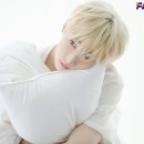 호영