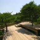 바닷가언덕 이미지