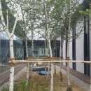 사림동238 이미지