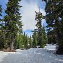 밴쿠버 북쪽 엘핀 호수(Elfin Lakes) 눈 트레킹 이미지
